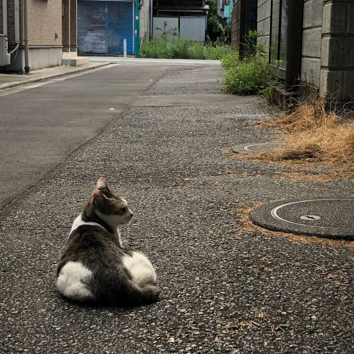 71385515 d0a9 4e13 bc8a 1d02280f428c 1600704231408