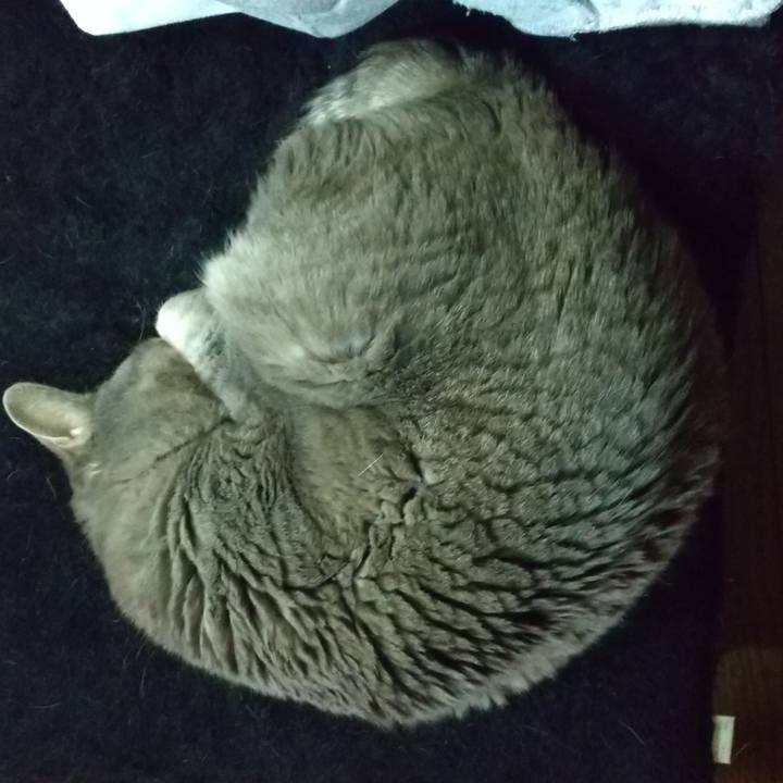 713855d8 7d64 4f3d b5cd dc9b66d7d8ab 1650009998749