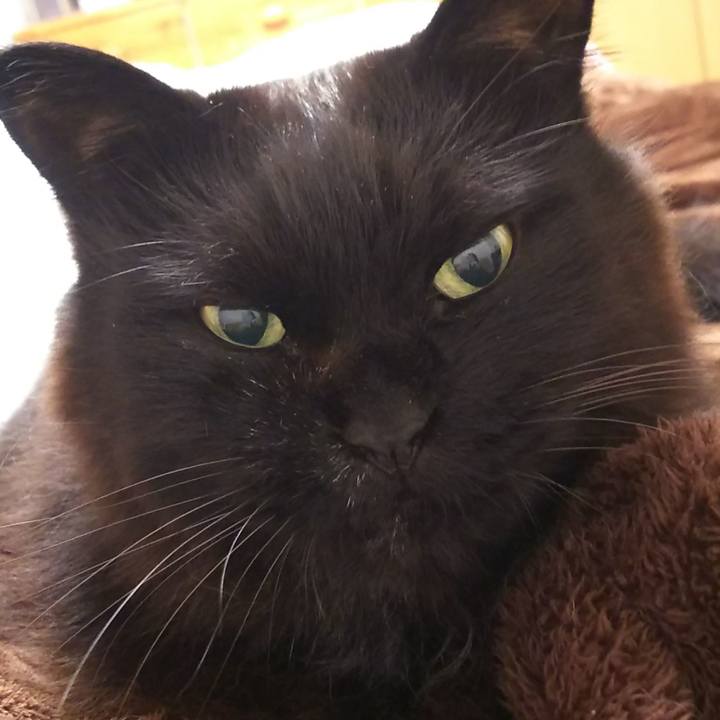 7138568b 138d 41c9 80cb 49a631f60bce 1552831819737