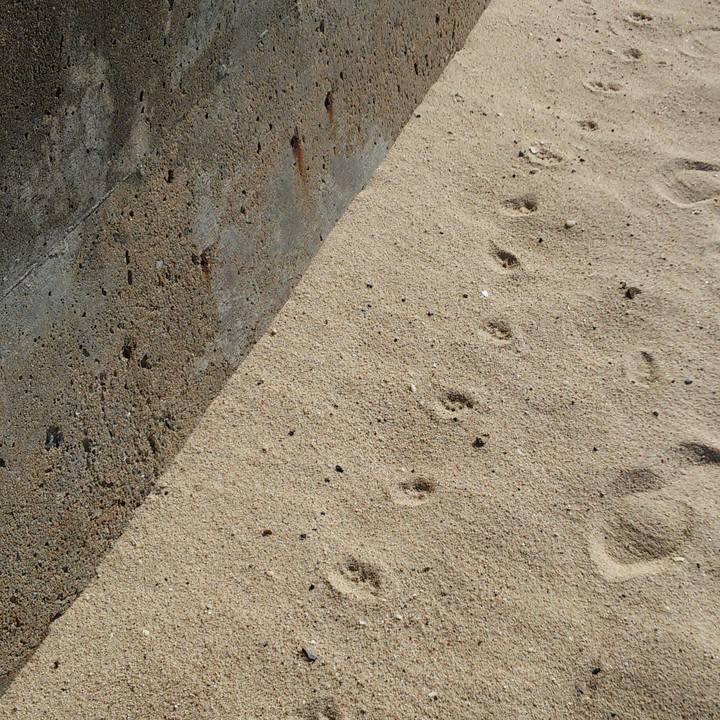 71385730 74e5 42c1 b253 f839be159342 1517051319668