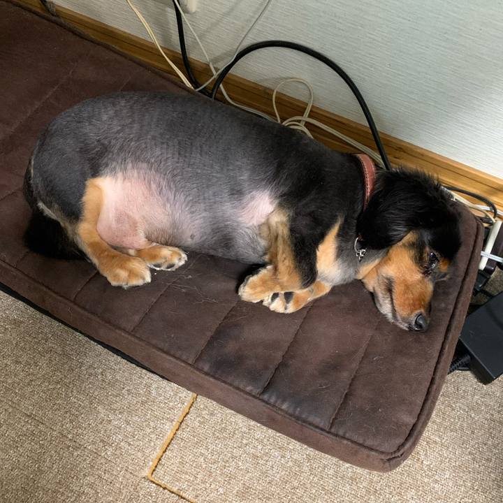 71389f85 361a 4e4e b39a 5f204ffd1d68 1600898188418