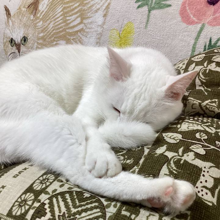 7138ab8a 1932 4392 bcbc 600bdbed2e9b 1687132103801