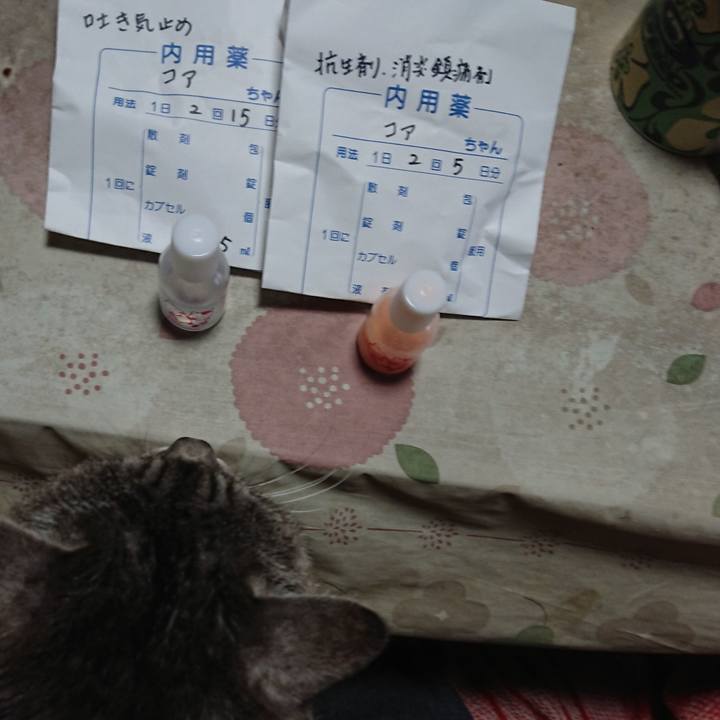 7138ae30 5757 410e addf ad91cd69b683 1584222788066