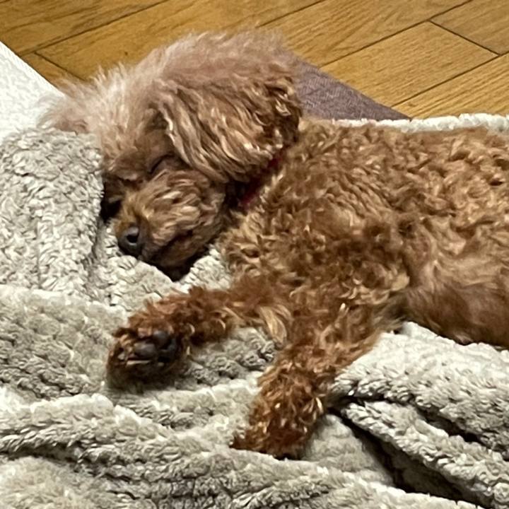 7138b1d1 d5f3 48aa a252 cfd47a64dcbc 1674394920571