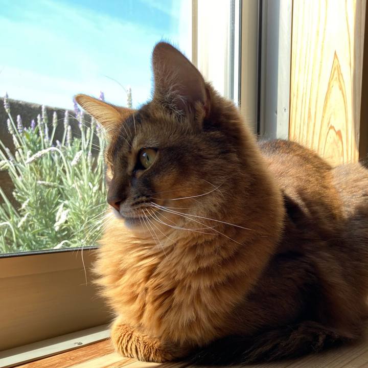 71390d03 093b 46b7 97be a9908f1522df 1618446225530