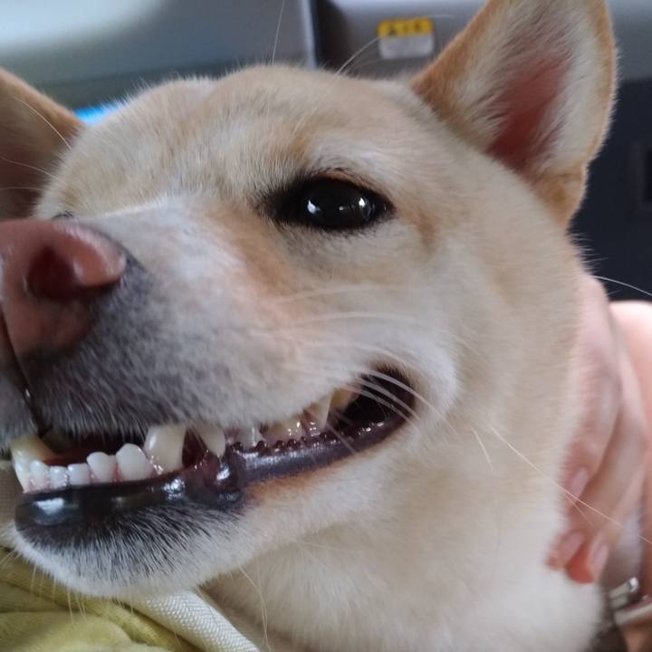 71391b66 42b1 4d2b b6be cfc50e9386d9 1537076436197