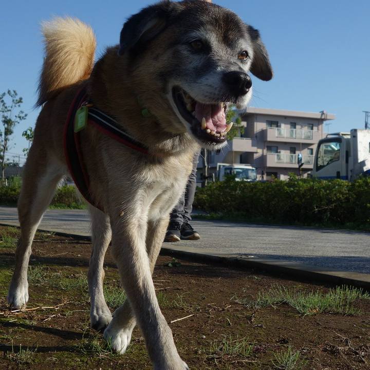 71397526 b0e6 44d1 bf85 d46dfdfb6b89 1572395730889