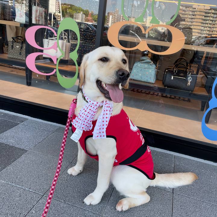 71398787 e4a4 4949 b3f4 0d21b935d7a1 1651306513385