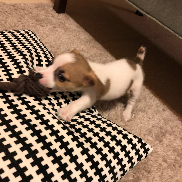 71398bd1 5f78 43b9 8255 bc99e07b3c6a 1543243837510