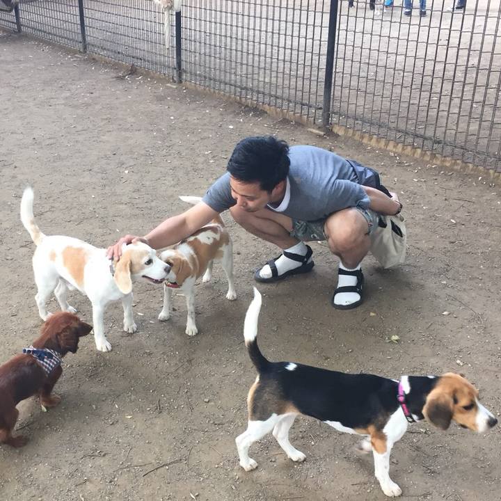 7139a738 15f7 402f 89dd 19ddbb113963 1528033559699