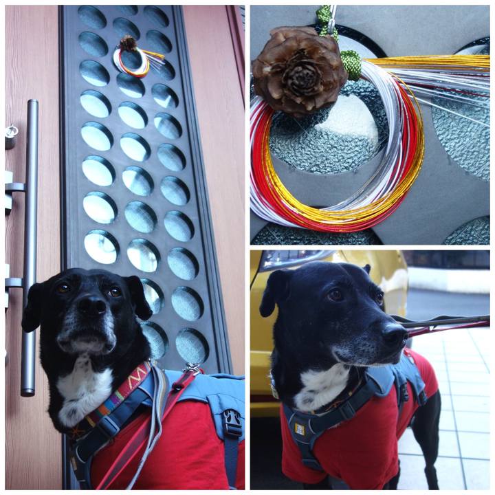 7139b263 729c 4030 991f 5f0ee254b682 1703898905023