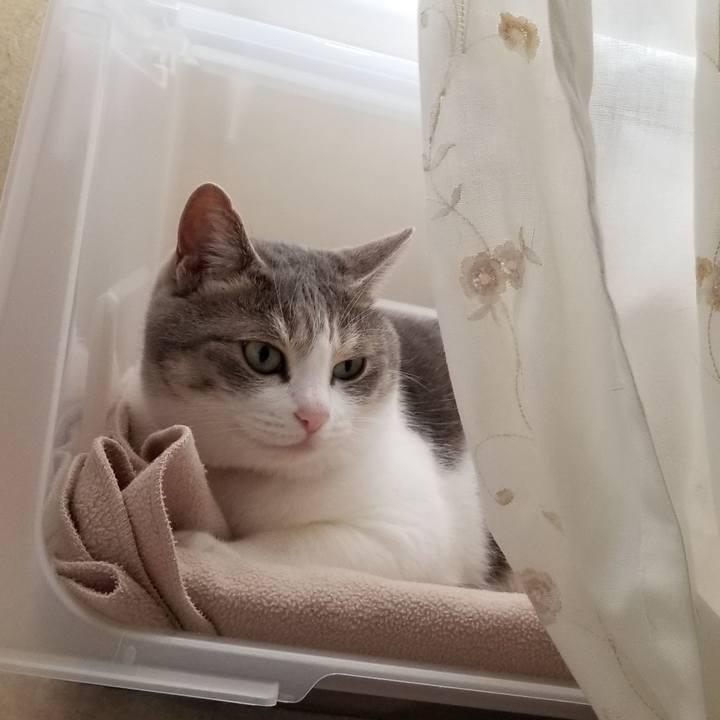 7139ca6a d524 43f3 8da3 840a610e63f5 1563107975272