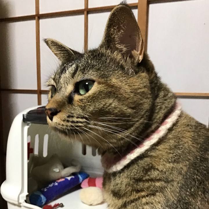 7139db33 29a0 4a70 bbc3 ff35bec36ff6 1694863441984