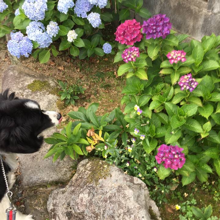 7139f088 fdbb 4021 ac90 f211ca63c7c0 1559687655345