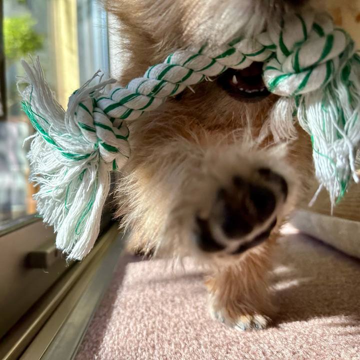 713a05ca 9653 4a87 867a d7e5c6a811ad 1701696611473