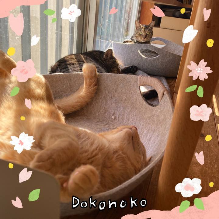 713a18ad c308 4eb1 9bfd 51600dc98705 1711540313094