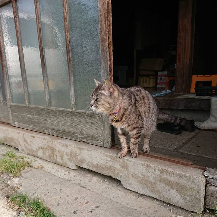 713a1dbd ac48 4f09 8ebe aafe70ceb57c 1589233977351