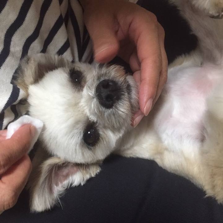 713a3477 e332 4fc4 a897 9aa4f2e78ccb 1558700420972