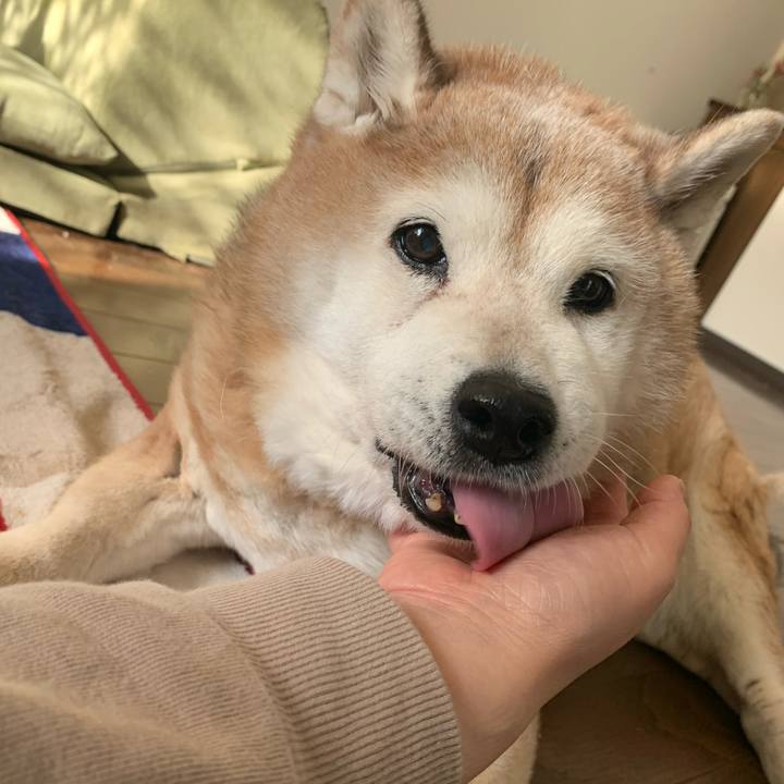 713a745e fb1f 424d af66 d4bd48466f57 1648105007283