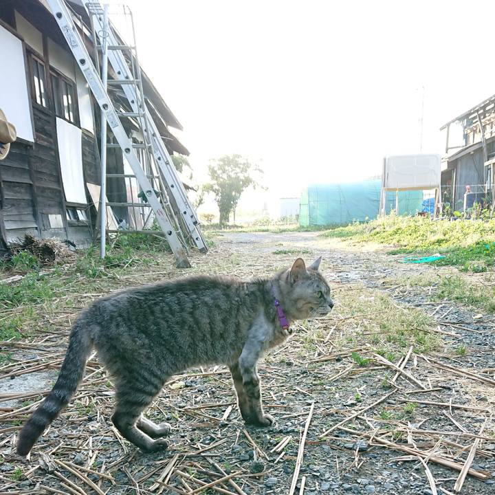 713aa444 faca 4e5b 9cdc 58fd395fc37b 1592252627544