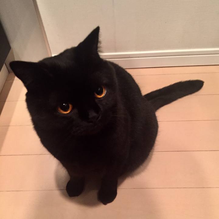 713aa7f6 c056 468e 824d 68d94cd4e00d 1537877954037