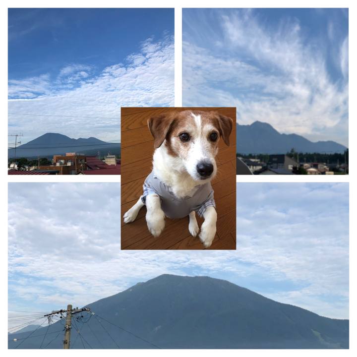 713ae0b8 ea32 46f6 afc8 aedf2abed5fa 1565135392708