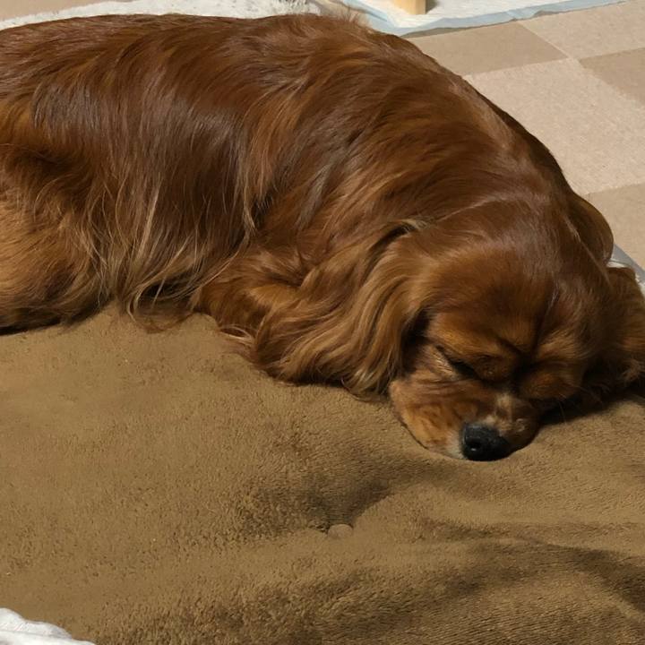 713afdb4 f568 4df3 9096 2cd033fd7b5e 1605823976663