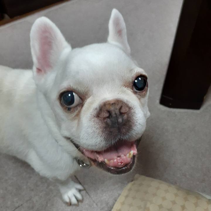 713b2f5d 3b99 41d6 9614 49c516b493b8 1692702158390