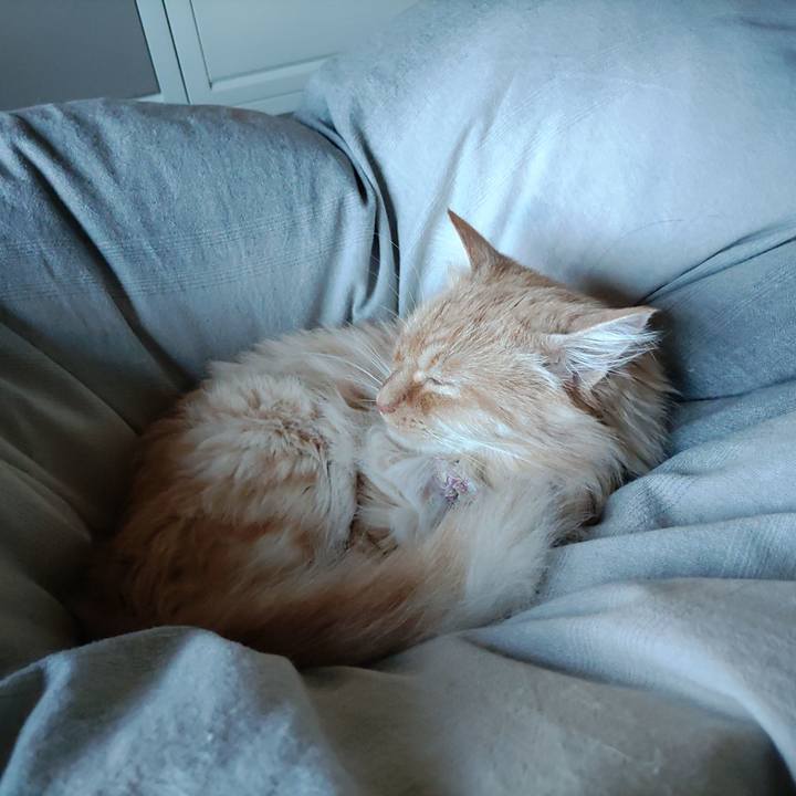 713b3dde b492 48c9 ba03 a300611a279c 1676424840106