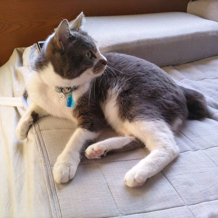 713b456a 42f9 40a6 be13 973fd6fe9bde 1683841740126