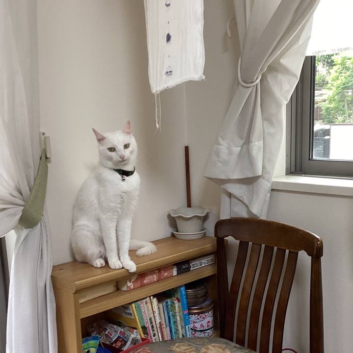 713b4ac3 3d68 41ec aaf9 a3e6d3fb06cd 1651023966428