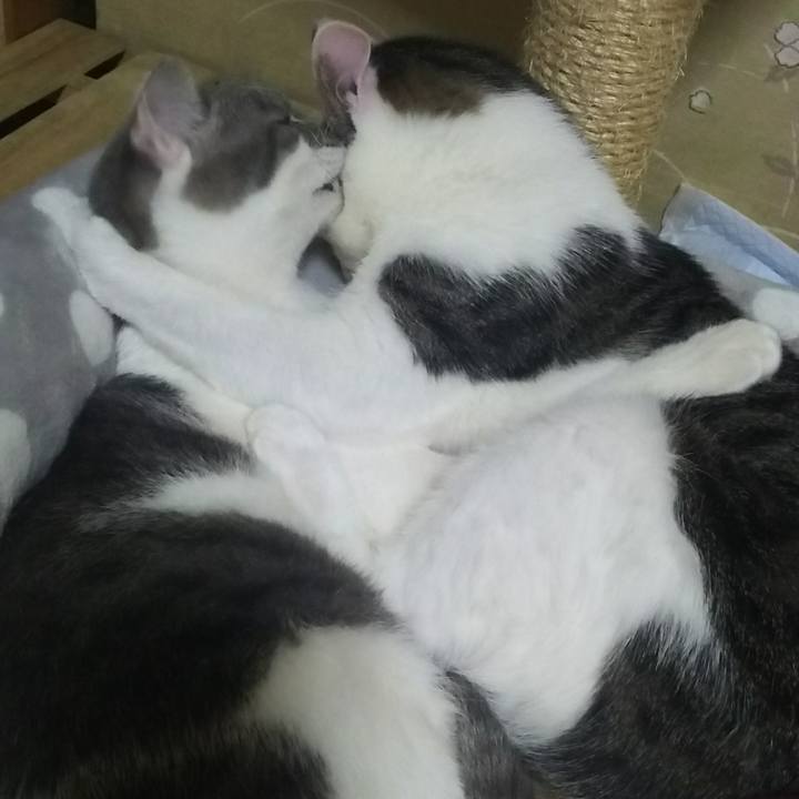 713b621c 3919 4751 ad26 7e0ed148be0d 1516466751427