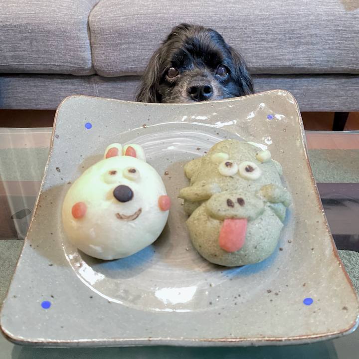 713b7ac4 4041 4633 a5fd a403c85ee1f2 1704023268549