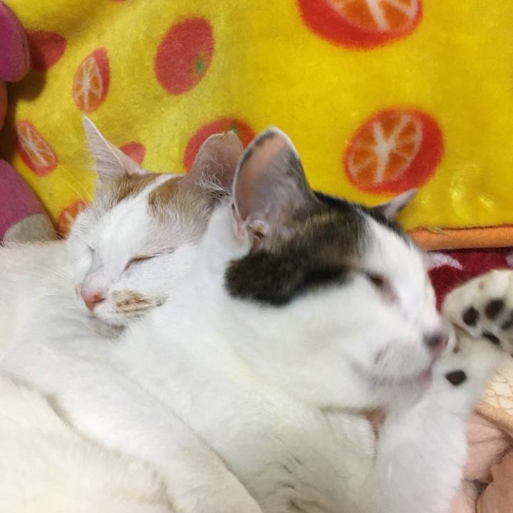 713b8151 2f62 4f74 89ed 3d60f5248bd7 1560178302070