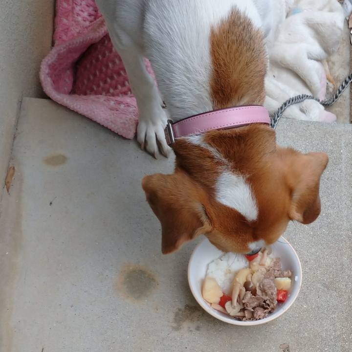 713b9a8e 7593 45a2 a414 6a61036cdc7a 1579829650361