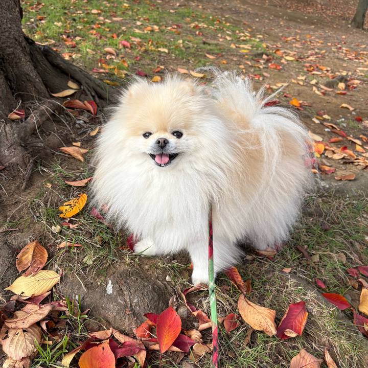 713bba21 b3eb 4fce ba4c d3e71a8c3a94 1763746843135