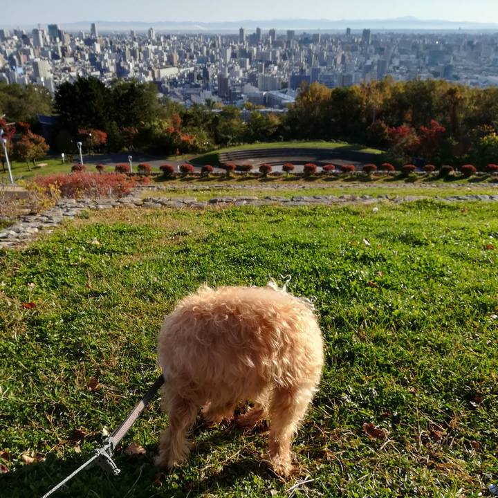 713c3153 74b5 4ec3 975e e40ed55ff56a 1540034720485