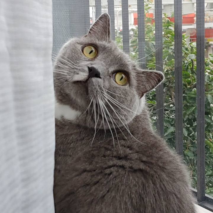 713c3a0f b99a 473a aadd 6306f5582648 1661640539853