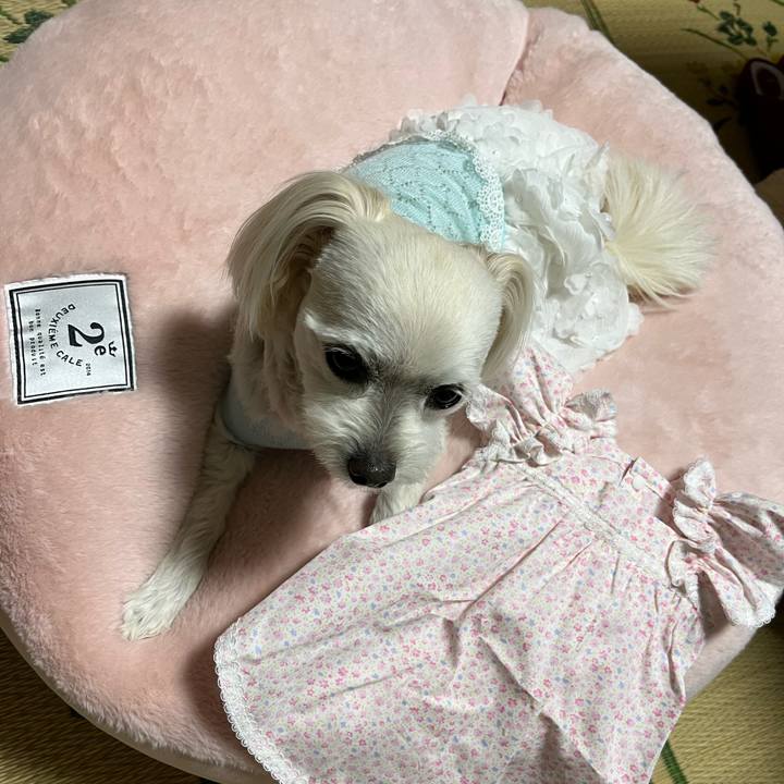 713c5666 58c9 4c97 83e9 ad796d243e64 1683798008644