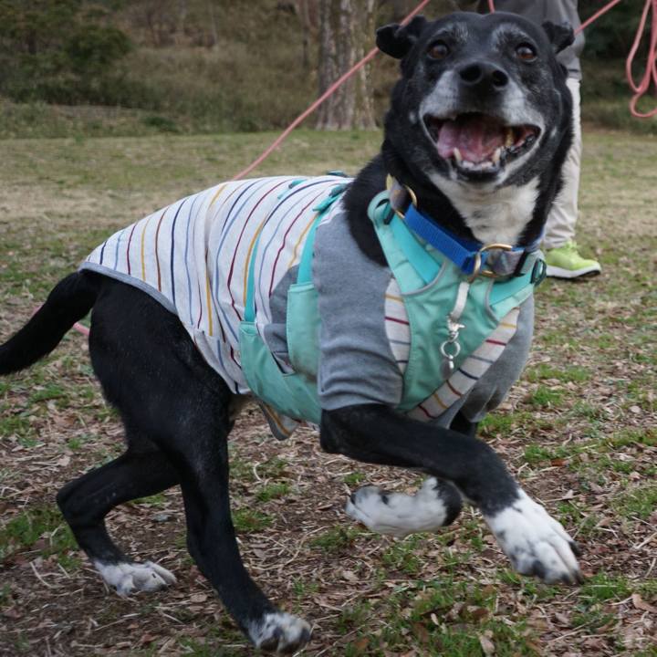 713c71fa 102d 45db 8881 2dfde344a58e 1773014467932