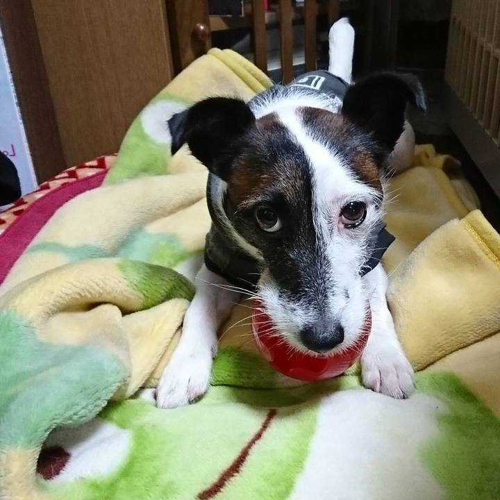 713cdae2 97a1 4bdc ae1a 83415bb53f4e 1508252478873