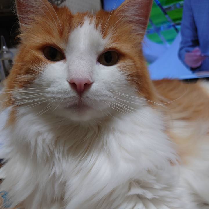 713d19fd 909e 487d a25d 81929b1ac50d 1596702928290