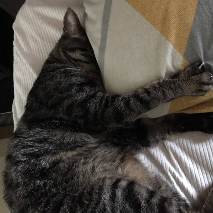 713d2b6e 89ce 422a a9e2 432b4c48d48d 1527640292400