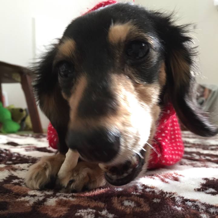 713d85d9 f998 4fb0 932a 4088e3ebb3a1 1515995071538