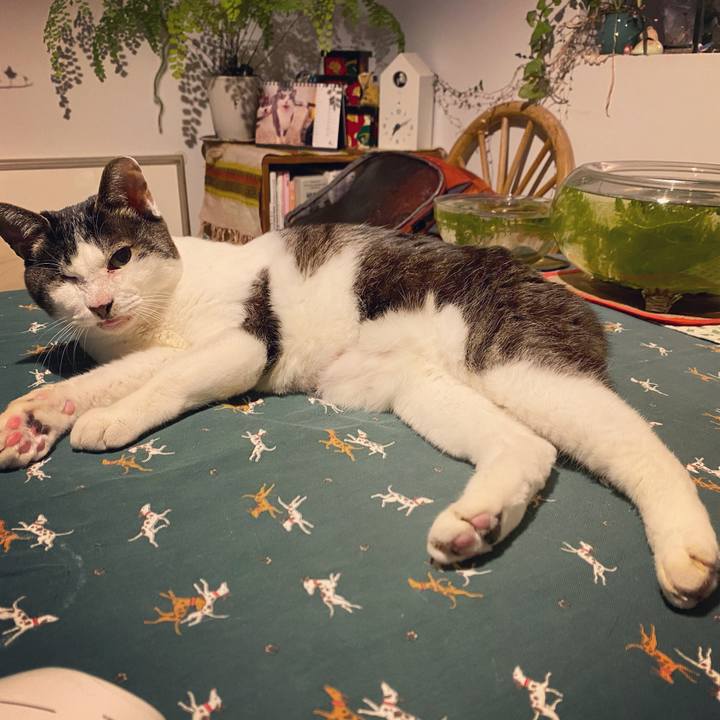 713d89da 8ca5 4632 b840 942472e45c19 1619607321333