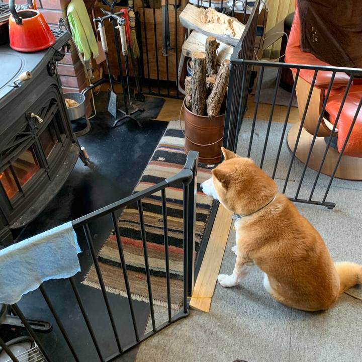 713d98e3 1da9 43c9 b2e8 a3612f60d73c 1639970973661