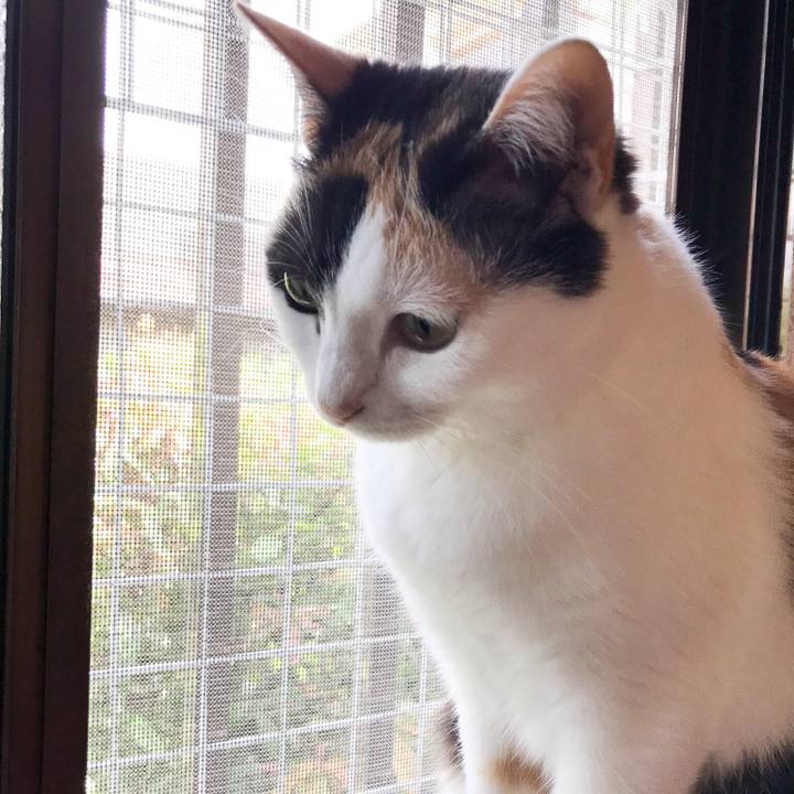 713da338 8789 4c25 beff 3eae6b50c078 1526568425721