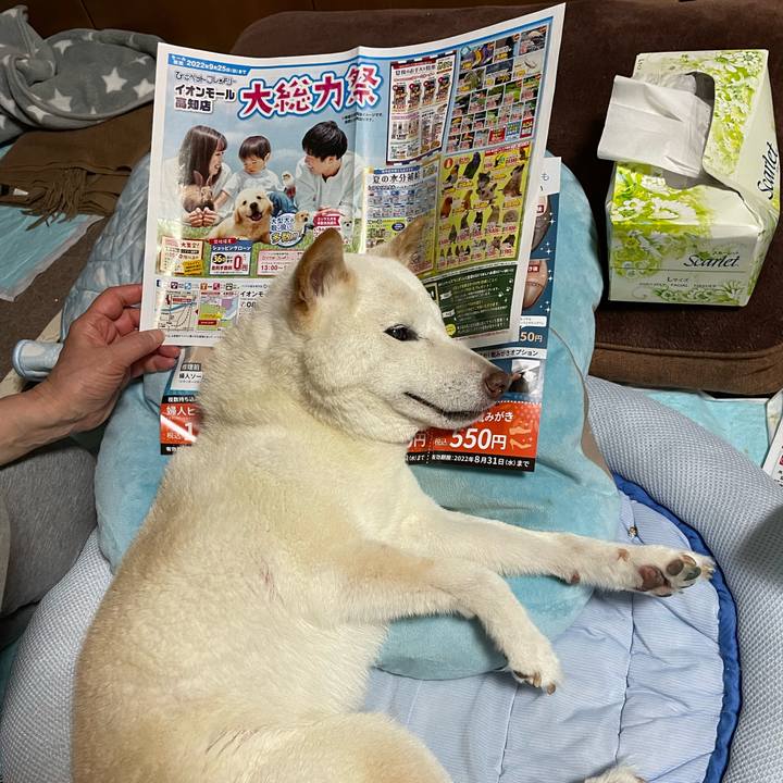 713daa97 0f85 40d4 ab86 2673460b5c57 1656686277567