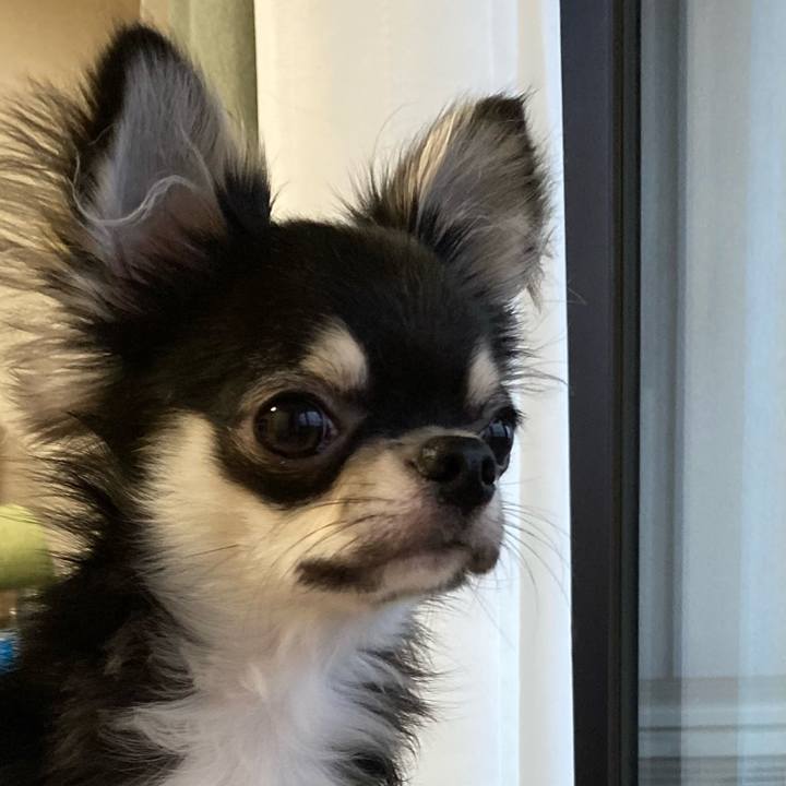 713dc509 8c47 4c07 b07e 722d74db6cd9 1601558534867