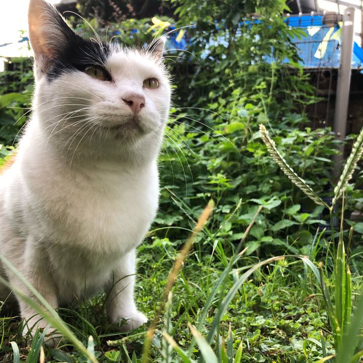 713de91c b06e 49f9 bd4d 2a8b1c00357a 1599689829712